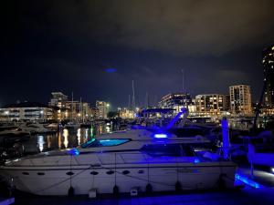 南安普敦SUPERYACHT ON 5 STAR OCEAN VILLAGE MARINA, SOUTHAMPTON - minutes away from city centre and cruise terminals - free parking included的船在晚上停靠在码头