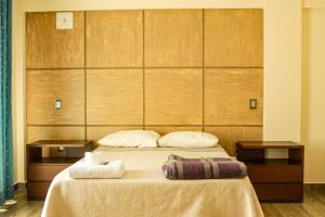 塔里哈Hostal Sky的一间卧室配有一张带两个枕头的床