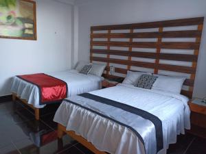 马尔多纳多港Hotel Rulman的小型客房配有两张床,