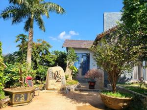 邦美蜀T'Farmstay villa and resort Buon Ma Thuot City的一座花园,花园内有房子和棕榈树