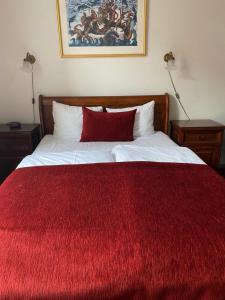 斯文堡奥埃罗酒店的床上有红毯