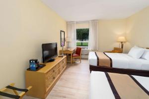 San Luis埃尔罗普埃托品质酒店的酒店客房设有两张床和一台平面电视。