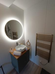 索恩河畔沙隆Le Nid Bourguignon的一间带水槽和镜子的浴室