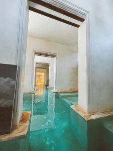 拉穆Lamu penthouse Apartment的地板上水的空房间