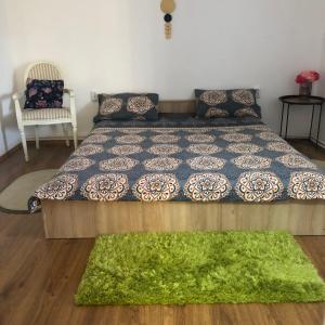 雅西Casa Rediu Iasi的一间卧室配有一张床和一把椅子,铺有绿色地毯。