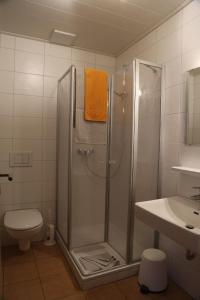 瓦尔德明兴Landgasthof "Altes Haus"的带淋浴、卫生间和盥洗盆的浴室