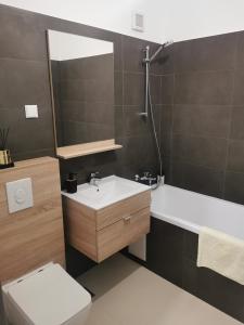 雅西Apartament incantator Iasi Copou的一间带水槽、卫生间和镜子的浴室