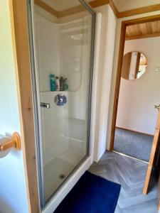 米勒姆Lake View Lodge的浴室里设有玻璃门淋浴