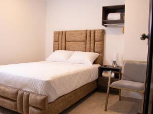 卡塔戈HOTEL GOLDEN CARTAGO的一间卧室配有一张大床和一把椅子