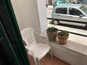 巴勒莫BnB Convalis的白色椅子坐在种植了盆栽植物的阳台