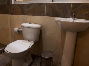 卡塔戈HOTEL GOLDEN CARTAGO的一间带卫生间和水槽的浴室