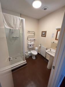 海斯Castle Inn的带淋浴、卫生间和盥洗盆的浴室