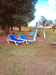 蒂诺加斯塔Encuentro de Almas (Soulmate Encounter)的田野上的两张躺椅和一张吊床