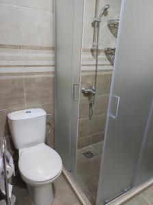 弗拉涅SP Apartmani FREE PARKING的一间带卫生间和淋浴的浴室