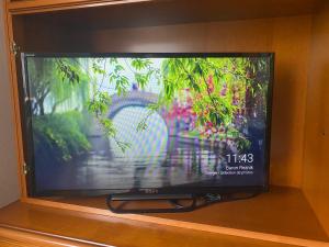 圣路易Appartement 3 lys的电视屏幕上画着花园的照片