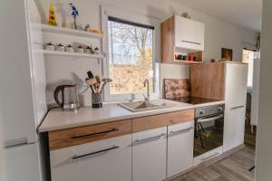德辛VICIBERG DĚČÍN的厨房配有白色冰箱和水槽