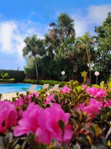 卡斯卡韦尔奎尔西亚海港酒店的游泳池前的一束粉红色的花