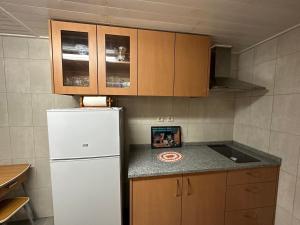 阿格达Casa Violeta的厨房配有白色冰箱和木制橱柜。
