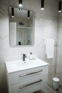 莫斯塔尔Hercegovina apartments的白色的浴室设有水槽和镜子