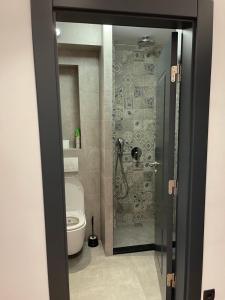 普里什蒂纳Stylish Downtown Apartment的一间带卫生间和淋浴的浴室
