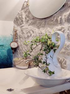 弗农La Mansarde的白色花瓶,在柜台上植有植物