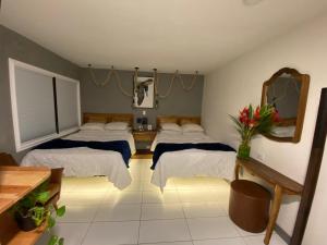 阿拉胡埃拉贝尔乐机场酒店的一间卧室配有两张床和镜子