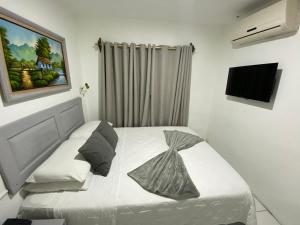 阿拉胡埃拉贝尔乐机场酒店的一间卧室配有一张床和一台电视