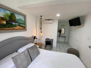 阿拉胡埃拉贝尔乐机场酒店的一间卧室配有一张床、一张书桌和一台电视