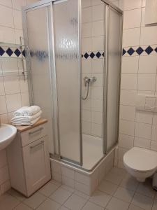 托尔高Altes Bootshaus的带淋浴、卫生间和盥洗盆的浴室