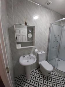 NelsonSergeants Accommodation的一间带水槽、卫生间和淋浴的浴室
