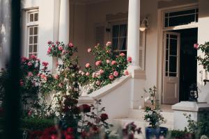 弗朗斯胡克客房宾馆的台阶上鲜花盛开的白色房子