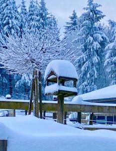 温特贝格Landhotel Flora & Fauna的覆盖着树木和栅栏的雪覆盖的森林