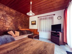 鲍洛通费尼韦什Apartment for 5 ppl at Lake Balaton的客厅配有沙发和电视。