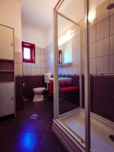 鲍洛通费尼韦什Apartment for 5 ppl at Lake Balaton的带淋浴、卫生间和盥洗盆的浴室