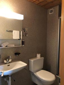 昆塔尔Historisches Hotel Bären的浴室配有白色卫生间和盥洗盆。