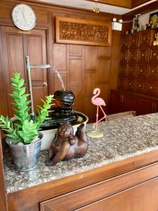 芭东海滩Baan Sudarat Hotel的鸟儿、钟和植物的厨房台