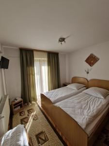 瓦马Pensiunea Irina的一间卧室设有一张大床和一个窗户。