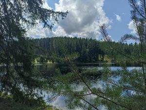 Horní SlavkovFeel like home的享有背景树木的湖泊美景