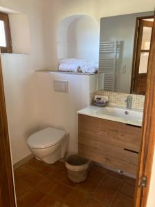 格雷乌莱班Lodge - Le Clos Devançon的一间带卫生间和水槽的浴室