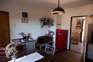 Brod MoraviceApartment "Johana"的厨房配有红色冰箱和桌子