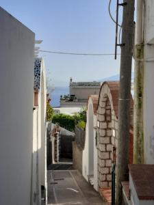 卡普里Cataldo Guest House的两座建筑之间的小巷,以海洋为背景