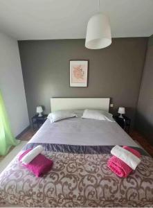 加亚新城Apartamento Francelos Condominio的卧室配有一张大床和两个粉红色枕头