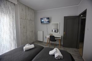 亚历山德鲁波利斯C.L.A. 2 City Lux Apartment Alaxandroupoli的一间卧室配有一张床、一张书桌和一台电视