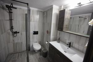 亚历山德鲁波利斯C.L.A. 2 City Lux Apartment Alaxandroupoli的带淋浴、卫生间和盥洗盆的浴室