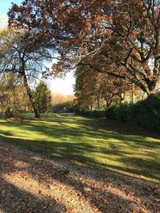 奥尔德马斯顿The Pheasantry - guest house in beautiful rural location的草上草木繁茂的田野