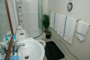 阿伯茨福德Guest Suite Private Retreat- Honeymoon Suite- J-1的一间带水槽、卫生间和淋浴的浴室