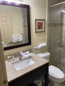 弗洛伦斯阿什利宿舍酒店 的一间带水槽、卫生间和镜子的浴室
