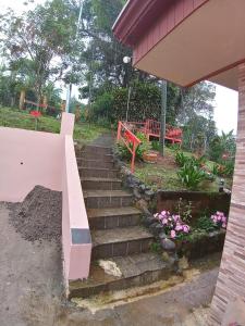 San MarcosCasa entre la naturaleza的通往鲜花盛开的花园的楼梯