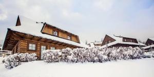 特尔乔夫Drevenica Desina的雪地中的小木屋,有雪覆盖的灌木丛