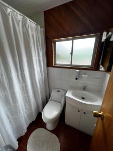 比亚里卡Hostal Katemu的一间带卫生间、水槽和窗户的浴室